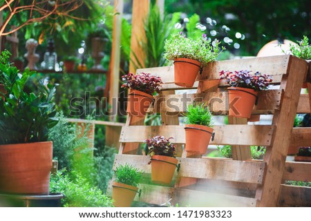 DIY recycled wooden pallet for flower pots. Storage industrial pallet used in gardening for a wall decoration as a shelf for flowerpots. Garden with planters made of recycled wooden pallets