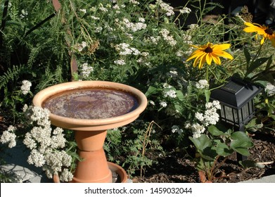 DIY Terra Cotta Bird Bath Among Bright Summer Flowers.