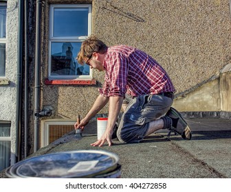 DIY. Young Homeowner Sealing Roof, Home Maintenance Improvement