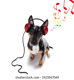 Dj bull terrier dog playing music in a club with disco ball , isolated on white background