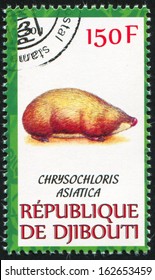 DJIBOUTI - CIRCA 2011: Stamp Printed By Djibouti, Shows Cape Golden Mole, Circa 2011