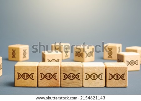 A DNA chain made up of genetic building blocks. Disease propensity. Mutations and genetic diseases. Gene therapy modification of cells to produce a therapeutic effect. Paternity confirmation.