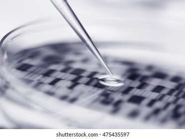 DNA (deoxyribonucleic Acid) Autoradiogram In A Petri Dish