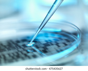 DNA (deoxyribonucleic Acid) Autoradiogram In A Petri Dish