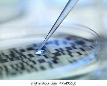 DNA (deoxyribonucleic Acid) Autoradiogram In A Petri Dish