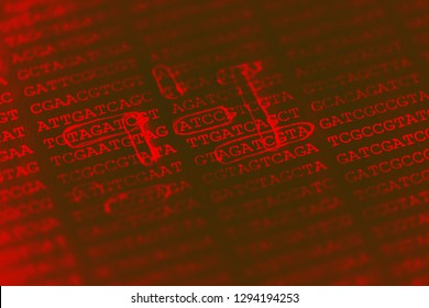 DNA encoding. Text with nucleobases.
