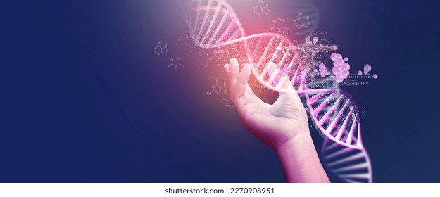 DNA helix concept of new ideas with Digital Virtual analysis chromosome DNA test of human in situations disease COVID-19 virus on hands in 3D illustration. Of free space for texts and creativity. - Shutterstock ID 2270908951