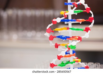 Dna Helix Model In Laboratory