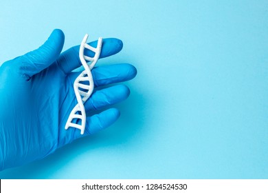 DNA helix research. Concept of genetic experiments on human biological code DNA. Scientist holds DNA helix