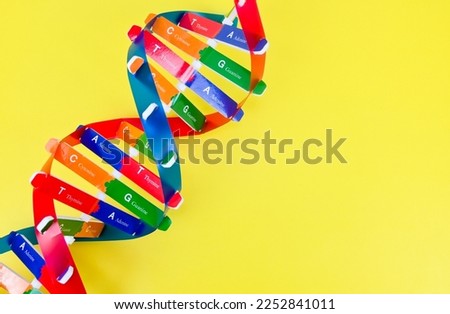 DNA helix structure, code made up of four chemical bases: adenine, guanine, cytosine, and thymine. Human DNA spiral molecule structure, Science icon. Hereditary material in organisms.DNA say about You