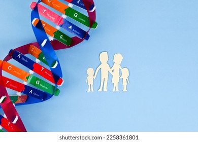 DNA helix structure and family paper model. Parents and children. DNA carrier status. Healthcare, science and medical concept. - Shutterstock ID 2258361801