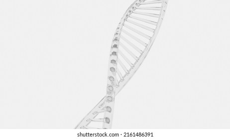 DNA medical background. Biotechnology helix gene. White futuristic background. - Shutterstock ID 2161486391