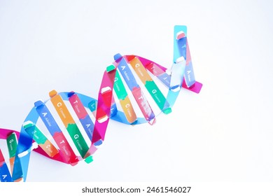 DNA molecule spiral structure model isolated on white background, chromosome and gene chemical science biology. - Powered by Shutterstock