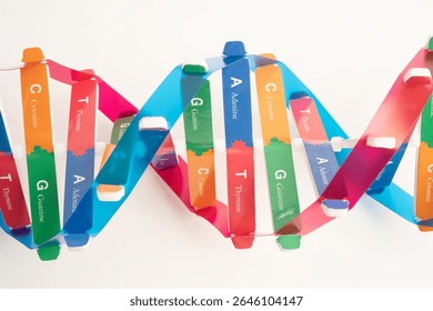 DNA molecule spiral structure model isolated on white background, chromosome and gene chemical science biology.