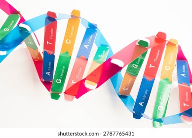 DNA molecule spiral structure model isolated on white background, chromosome and gene chemical science biology.