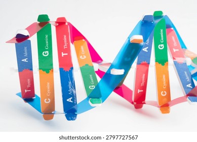 DNA molecule spiral structure model isolated on white background, chromosome and gene chemical science biology.