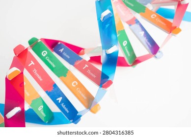 DNA molecule spiral structure model isolated on white background, chromosome and gene chemical science biology.