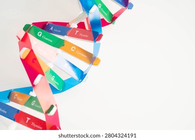 DNA molecule spiral structure model isolated on white background, chromosome and gene chemical science biology.