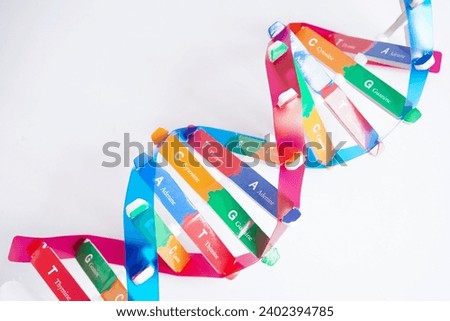 DNA molecule spiral structure model isolated on white background, chromosome and gene chemical science biology.