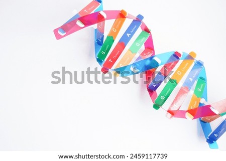 DNA molecule spiral structure model isolated on white background, chromosome and gene chemical science biology.