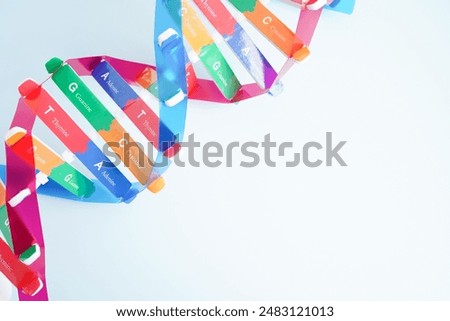 DNA molecule spiral structure model isolated on white background, chromosome and gene chemical science biology. 