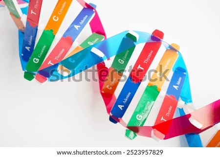 DNA molecule spiral structure model isolated on white background, chromosome and gene chemical science biology.