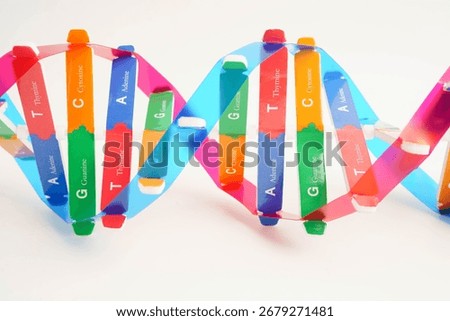 DNA molecule spiral structure model isolated on white background, chromosome and gene chemical science biology.