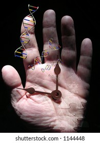 The DNA Puzzle