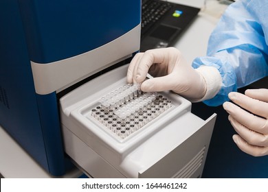 DNA Samples In A Thermocycler. Real-time PCR.