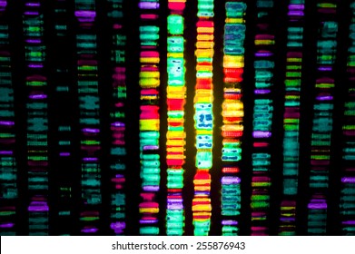DNA sequence - Shutterstock ID 255876943