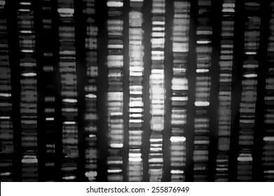 DNA Sequence In Black And White