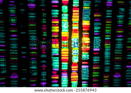 DNA sequence highlighted with various colors