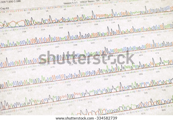 DNA sequencing result
sheet