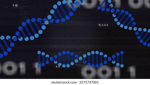 DNA strands and binary code, scientific data processing image. Science, technology, genomics, bioinformatics, sequencing, research