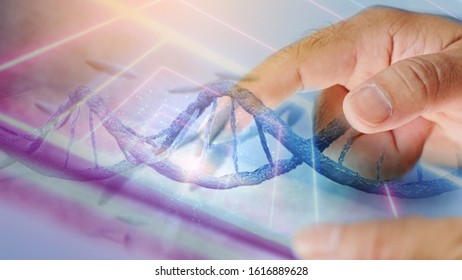DNA structure interface. DNA strands