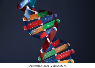DNA structure model on dark background, closeup