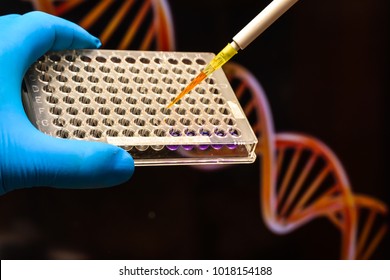 DNA Testing In A Scientific Laboratory. Genome Research Using Modern Biotechnology Methods.