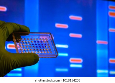 DNA testing in a scientific laboratory. Genome research using modern biotechnology methods.