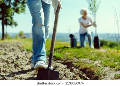 Do It Correct. Competent Gardener Using Spade While Preparing Place For Planting Young Tree