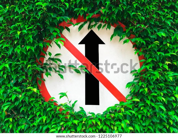 Do Not Go Straight Traffic Sign,Symbols\
covered with leaves are\
beautiful.