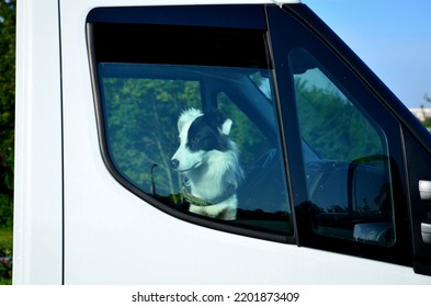 Do Not Leave Pets In The Car, They Risk Overheating And Death. Always Leave The Windows Open. Driver With His Dog In Truck, Van, Cabin Inside. The Collar Looks Out And Waits