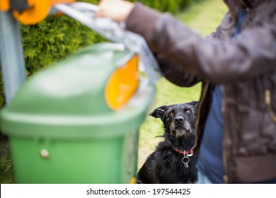Do not let your dog faul! - Young woman grabbing a plastic bag in a park to tidy up after her dog later