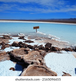 Do Not Pass, Salt Lagoons