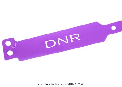 Do Not Resuscitate Purple Identification Bracelet