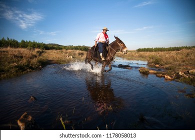 Cambará Do Sul, Rio Grande Do Sul / Brazil - 08/03/2018: Gaucho Mounted On Horse, Serra Gaúcha, Surrondings Of Aparados Da Serra National Park