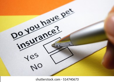 Do You Have Pet Insurance? Yes.