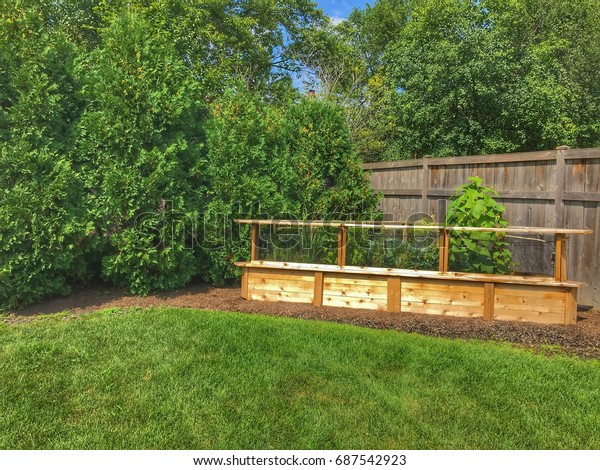 Do Yourself Backyard Vegetable Garden Stock Photo Edit Now 687542923