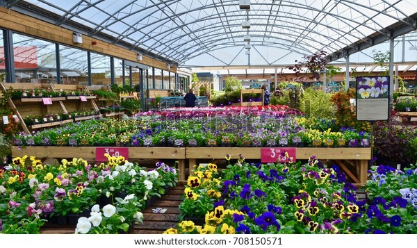 Dobbies British Chain Garden Centres This Stock Photo (Edit Now) 708150571