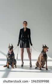 Doberman Dogs Near A Confident Woman In Black Blazer Dress On Grey Background With Shadows