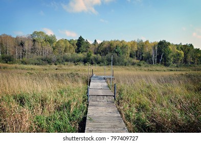 Summer Cabin Images Stock Photos Vectors Shutterstock